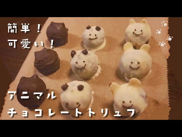 限定価格プチギフト チョコ 2025 いちごチョコレート いちごトリュフ フルーツチョコレート ホワイトチョコ おしゃれ かわいい :時間の専門店-3時の森 - 通販 - Yahoo!ショッピング