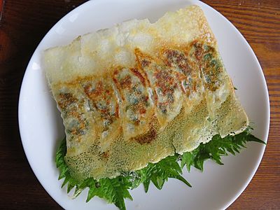 まさに絶品！肉汁がやばい究極の餃子の作り方をプロが伝授