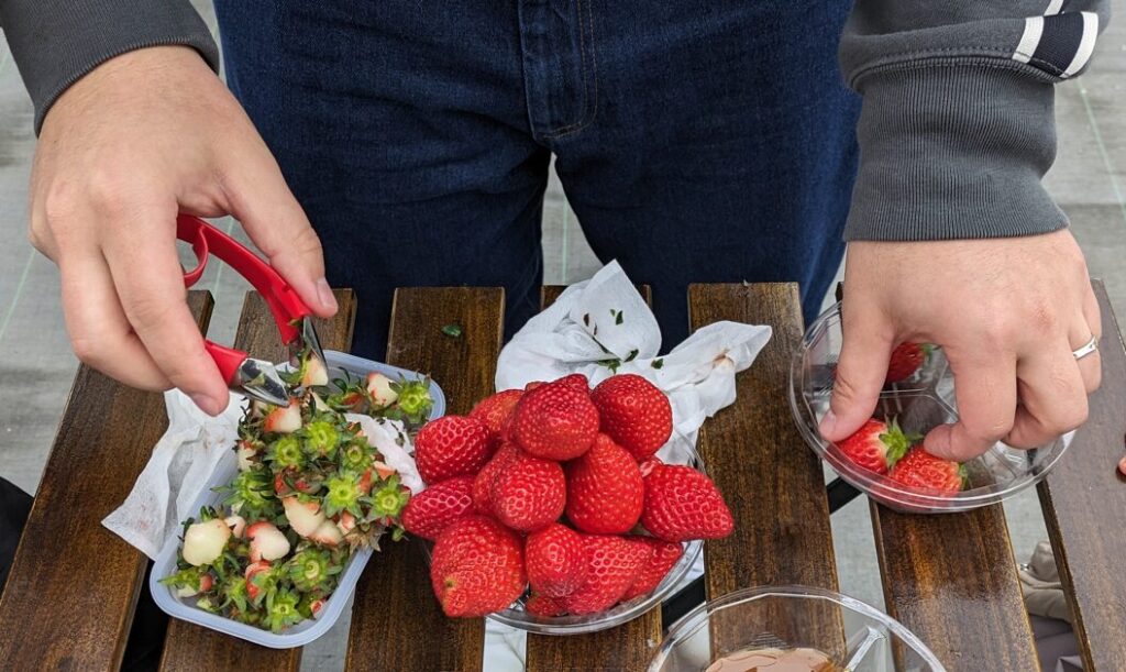 2点セット ヘタ取り器 芽取り 皮むき器 皮剥き ヘタ取り 芽取り器 いちご イチゴ プチトマト ヘタ取り じゃがいも 芽取り パイナップル