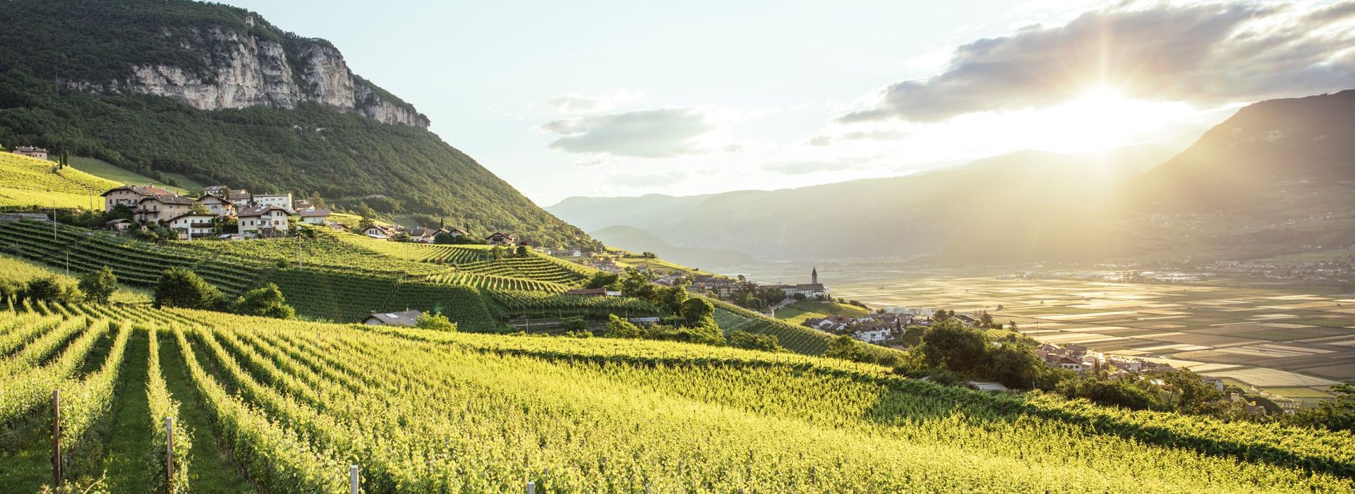 テロワール - Wikipedia