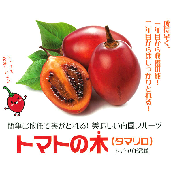 伊勢丹新宿店 豪華＆多彩なシーフードフェア。あの高級回転寿司店の本まぐろも！三越伊勢丹の食メディアFOODIE フーディー