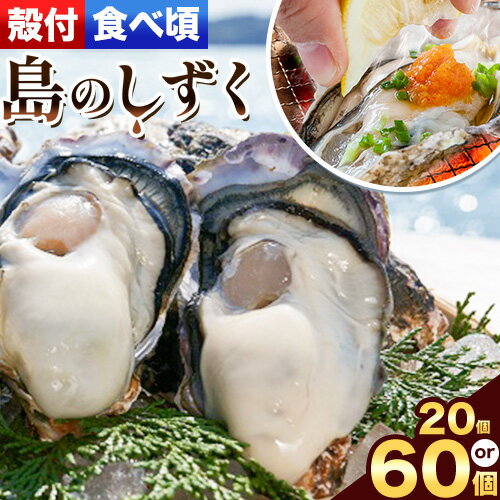 11月2日 土 五味の市にて、殻付き牡蠣の販売開始となります。 むき身の販売は11月中旬以降を予定しています。 また、ひなせ漁協公式通販等、お待ちいただいているお客様等、各種販売開始はこの公式HPよりお知らせいたしますので今しばらくお待ちくださいませ。今年も