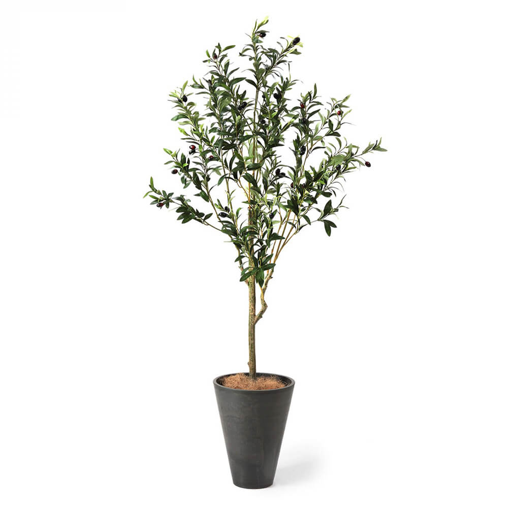 はじめての方へお得なお買い物をご案内します！コラムプレミアム光触媒フェイクグリーン 造花ドットコムzouka.com