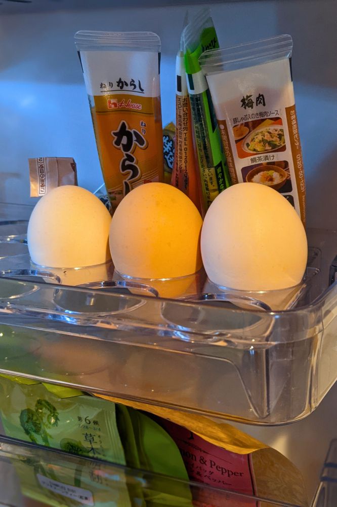 ディル香る燻製風味のゆでたまご