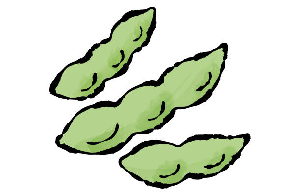 枝豆イラスト - No: 22017527無料イラスト・フリー素材なら「イラストAC」