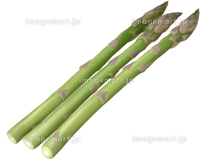 アスパラのイラスト無料素材集かわいい シンプル野菜 - チコデザ