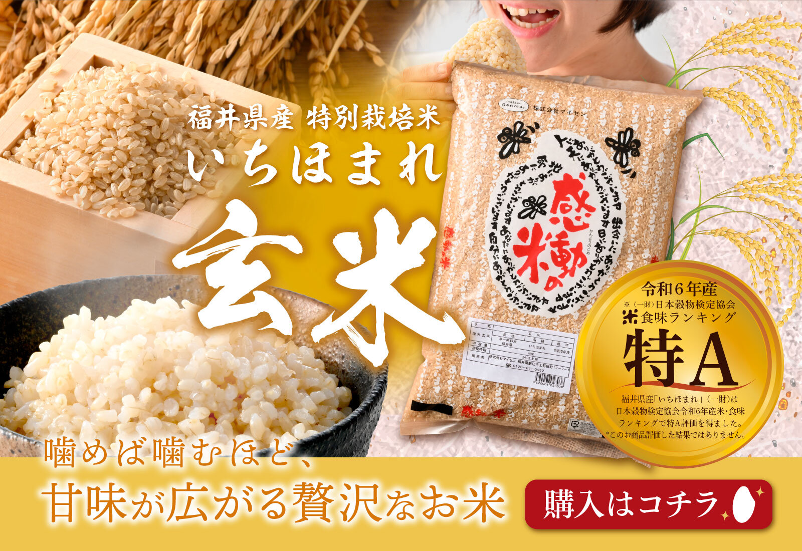 木村拓哉さんも食べてる酵素玄米が作れる炊飯器「圧力名人」使ってみた！あおぐるめ