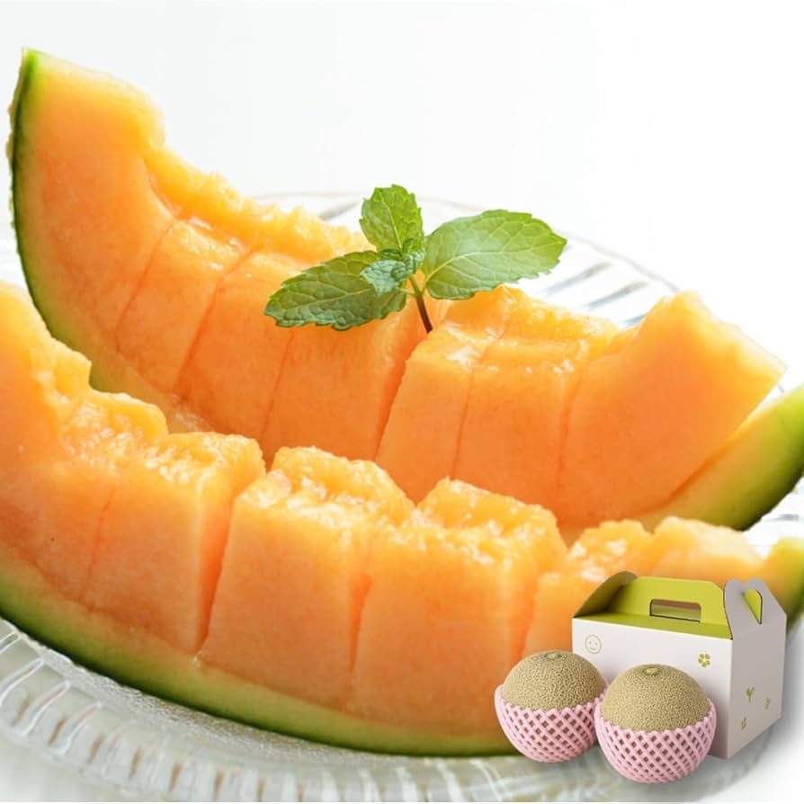 高級アールスメロン マスクメロン 1個入り 約1.5kg～2kg大玉 お中元 メロン めろん アールス マスク おすすめ 人気 国産 青肉産地直送 茨城 鉾田 フルーツ 旬 大きい プレゼント 贈り物 旬 定番 果物 くだもの 甘い 大玉 高級 完熟 贈答用 ギフト メロンの森