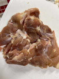 SANのオーナーに鳥もも肉の下処理を教えてもらいました – FOOD ORCHESTRA