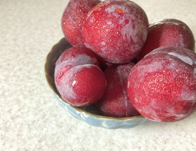 すももとプラムの違いとは？見分け方も解説きただ農園まーくん家