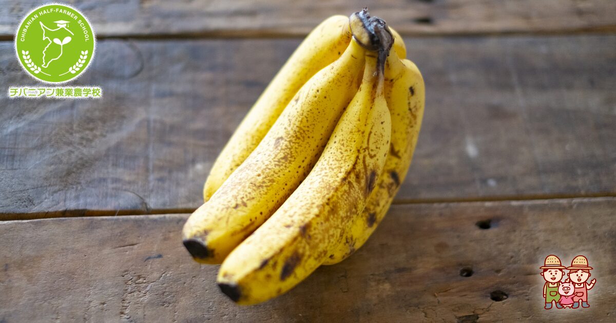 バナナの保存方法Dole ドールジャパン