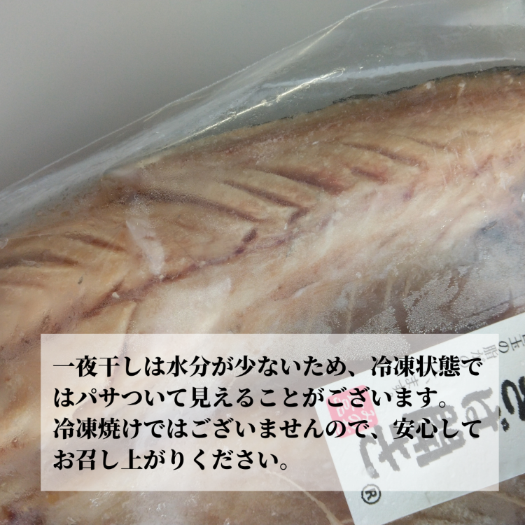 G2743 上質脂が乗った 鯖西京漬!! 大阪府泉佐野市ふるさと納税サイト「ふるさとプレミアム」