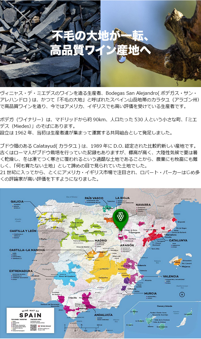 Amazonスペインのワインマップ - ワイン好きの方へのプレミアムギフト、アートペーパーに印刷 50.88cm x 70.96cmワイングラスオンライン通販