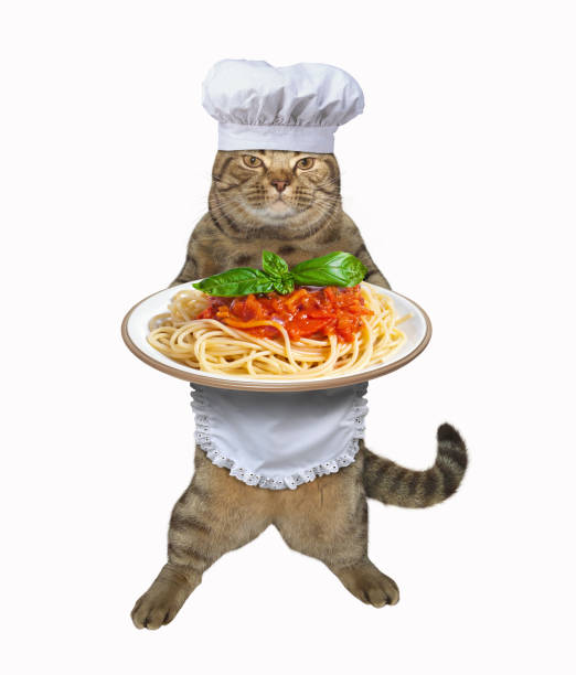 フリーAI画像パスタを食べる猫パブリックドメインQ：著作権フリー画像素材集