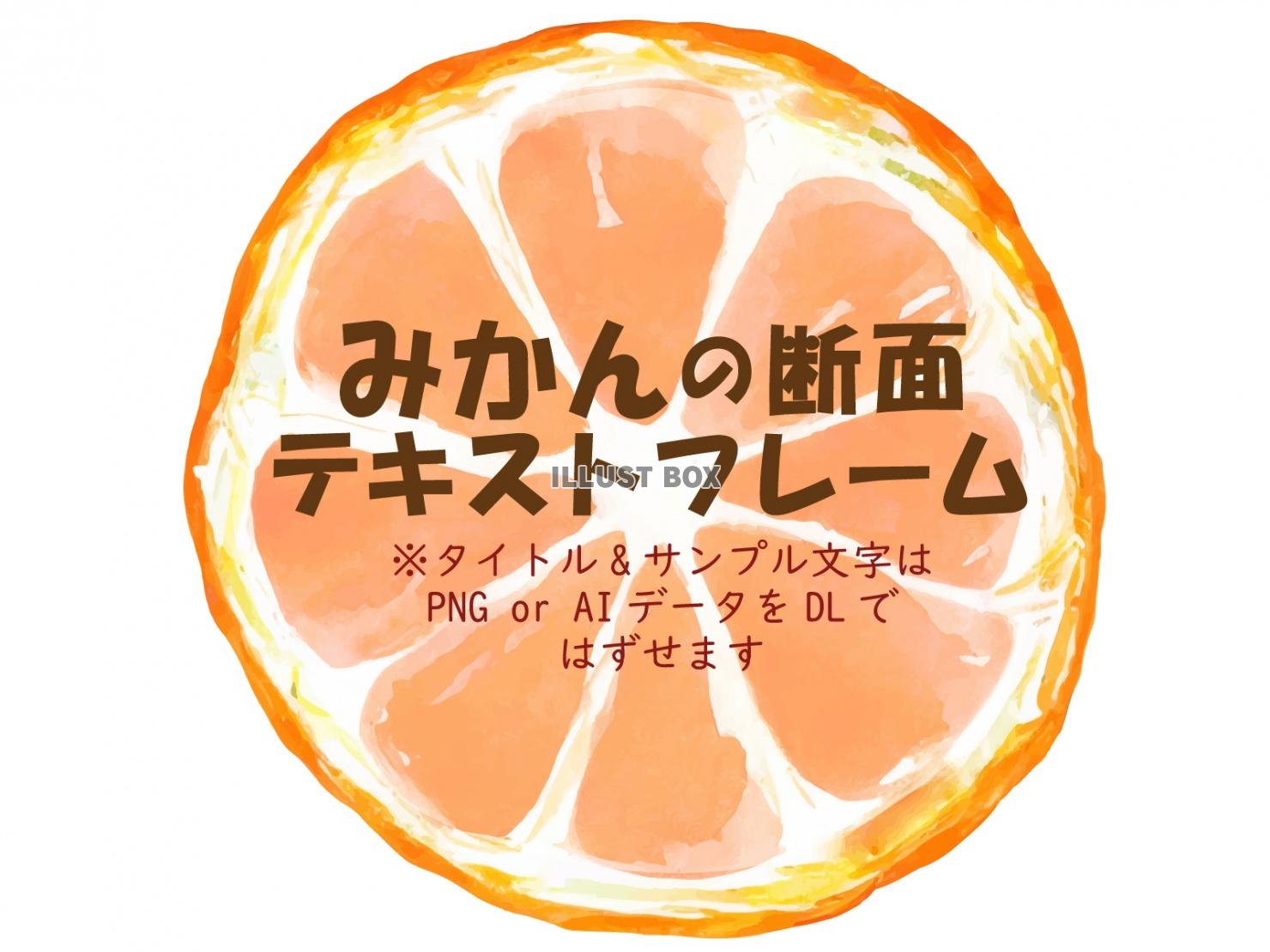 みかん 断面:300点を超えるロイヤリティフリーでライセンス可能なイラスト素材とスケッチShutterstock