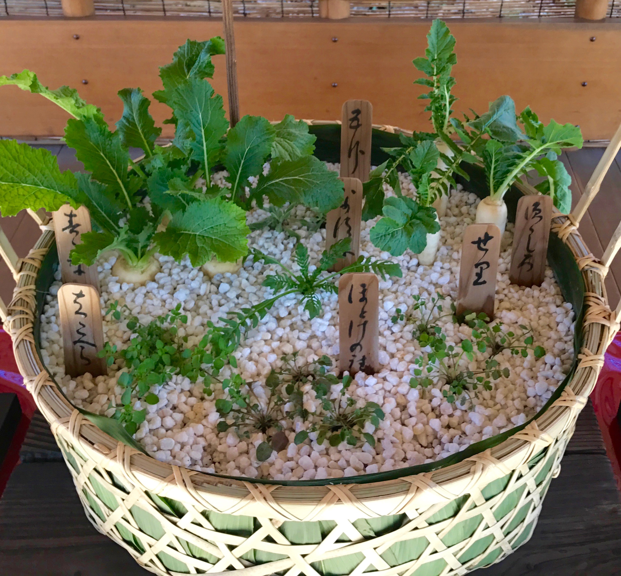 春の七草 はるのななくさ の画像一覧：旬の野菜百科