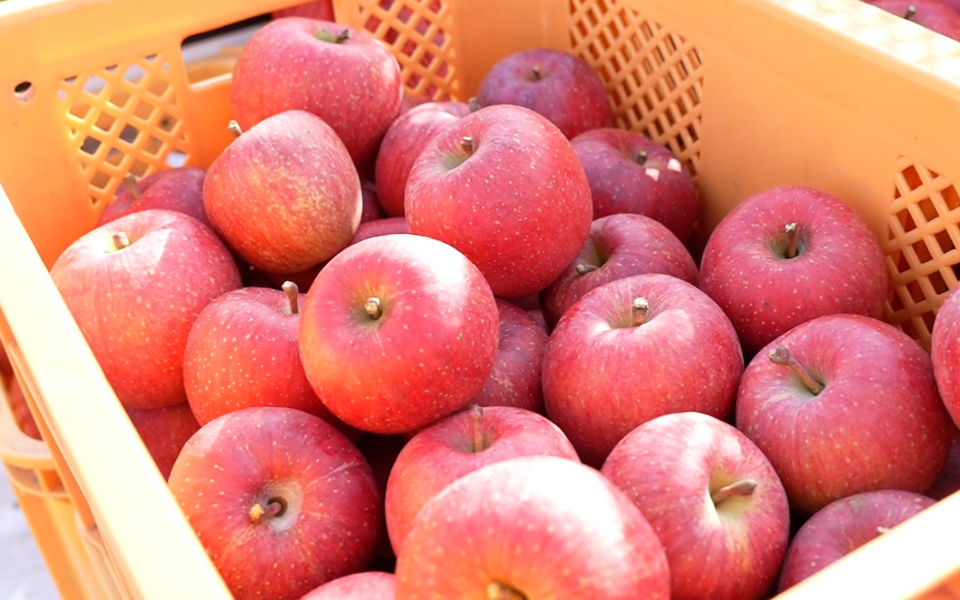 りんごの雑学＆使える裏ワザ12選レシピサイトNadia