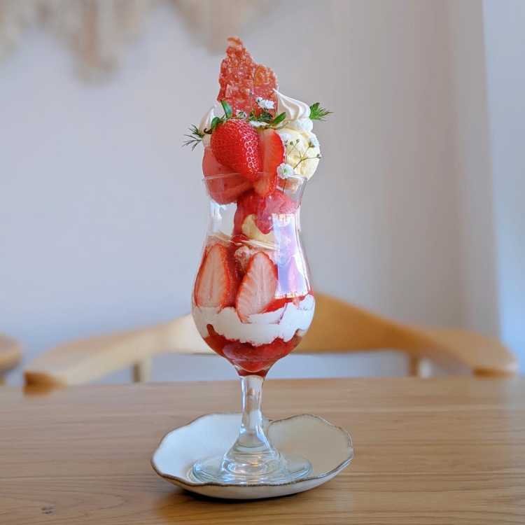 パフェとサンデー、どっちもおいしいけど何が違うの?マイナビニュース