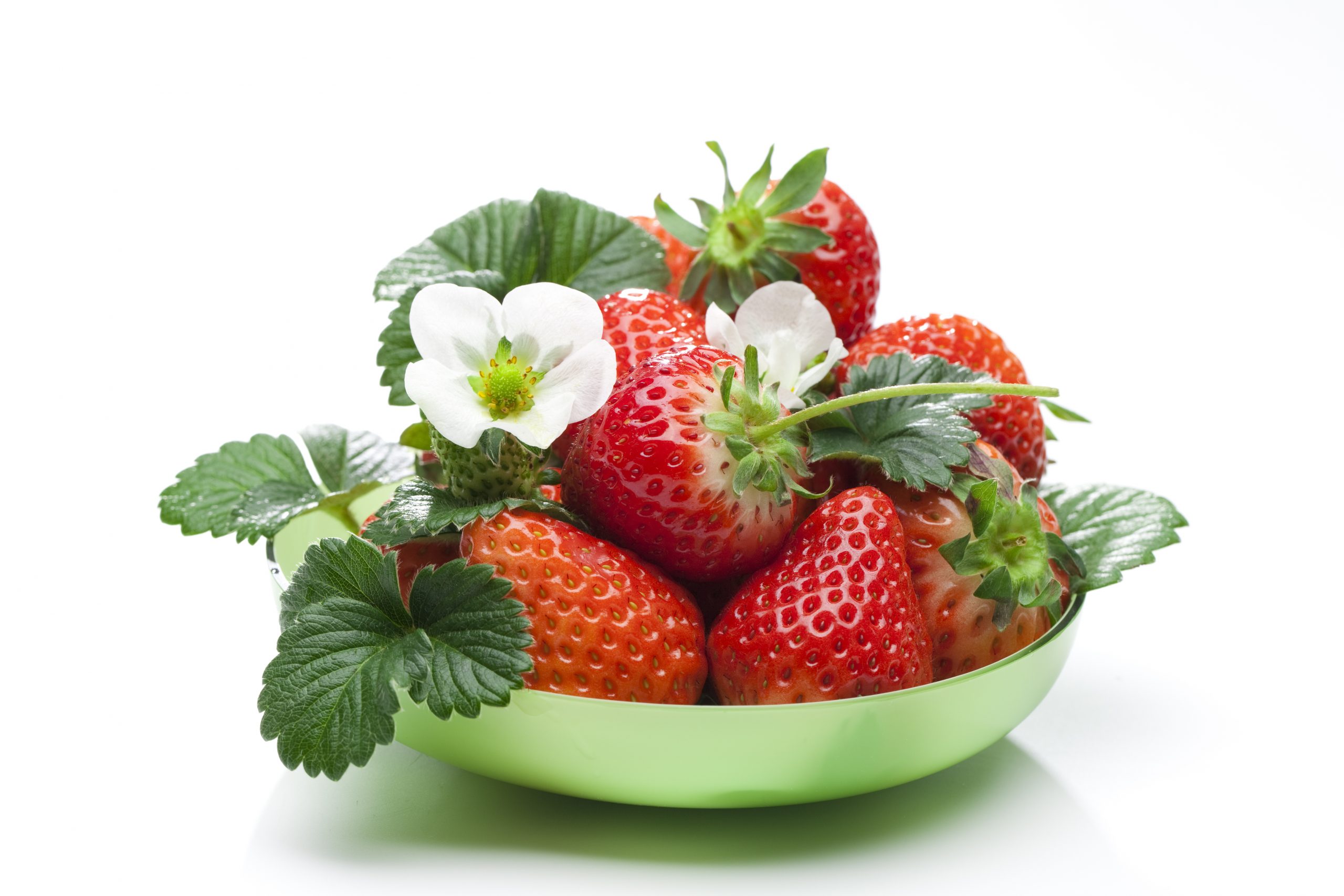 ドライブで行きたい！日本全国の都道府県別いちご狩り＆おでかけスポットまとめNAVITIME Travel