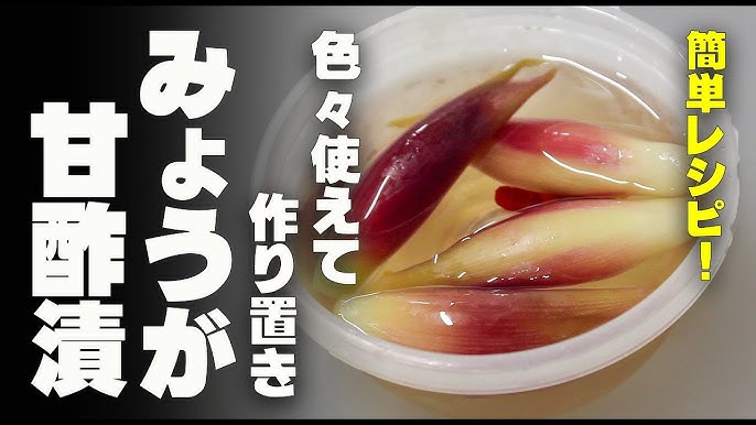 バズってます！最強の無限きゅうり 簡単作り置き副菜レシピ おつまみ 大量消費 ダイエット 美肌 高血圧 大葉 茗荷 常備菜 和え物