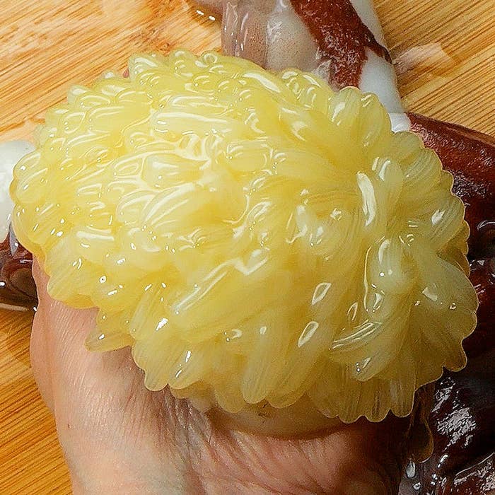 中西総料理長が大変珍しい”深海魚”を仕入れました！スタッフブログ公式 ホテル季の座 伊勢神宮と熊野三山を結ぶお食事と温泉の宿