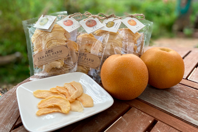 秋が旬の果物～梨編～