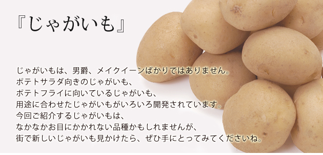 じゃがいもの基本情報 - プロのレシピならレタスクラブ