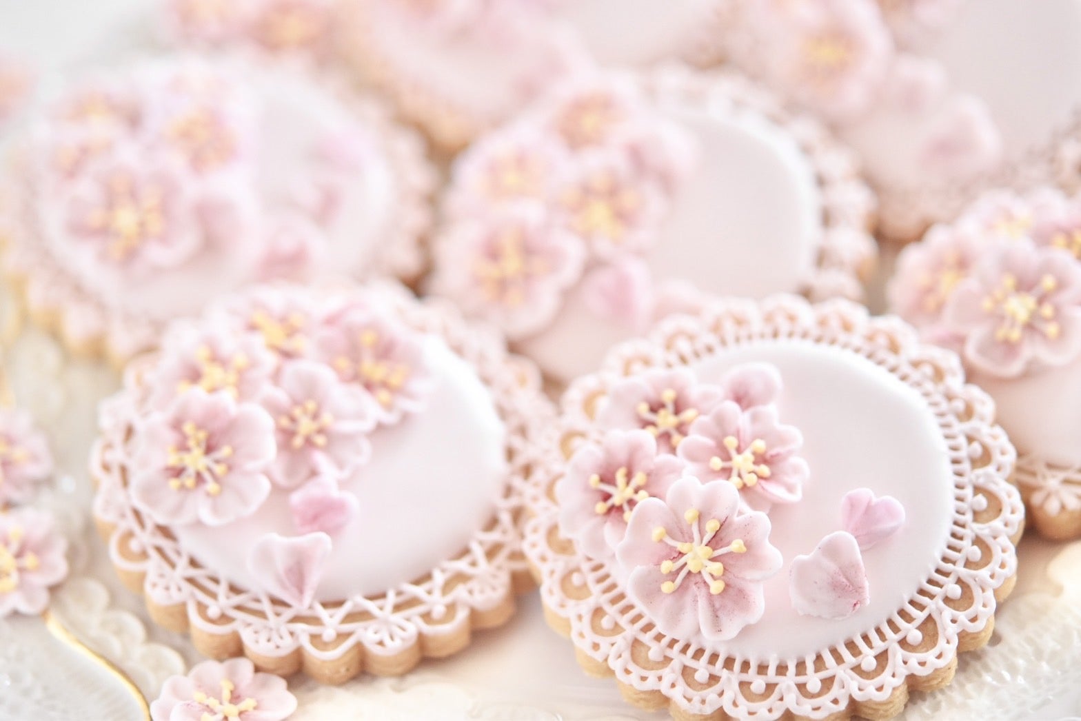 アイシングクッキーを手作りしたら日持ちは？長持ちさせる保存方法は？Reliable