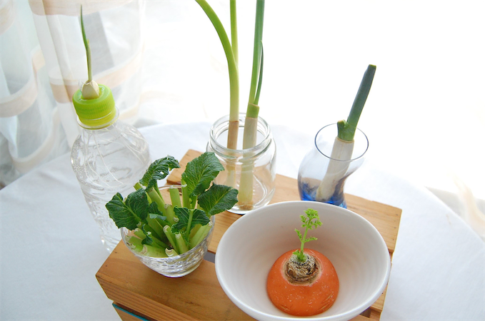 人参のリボベジ