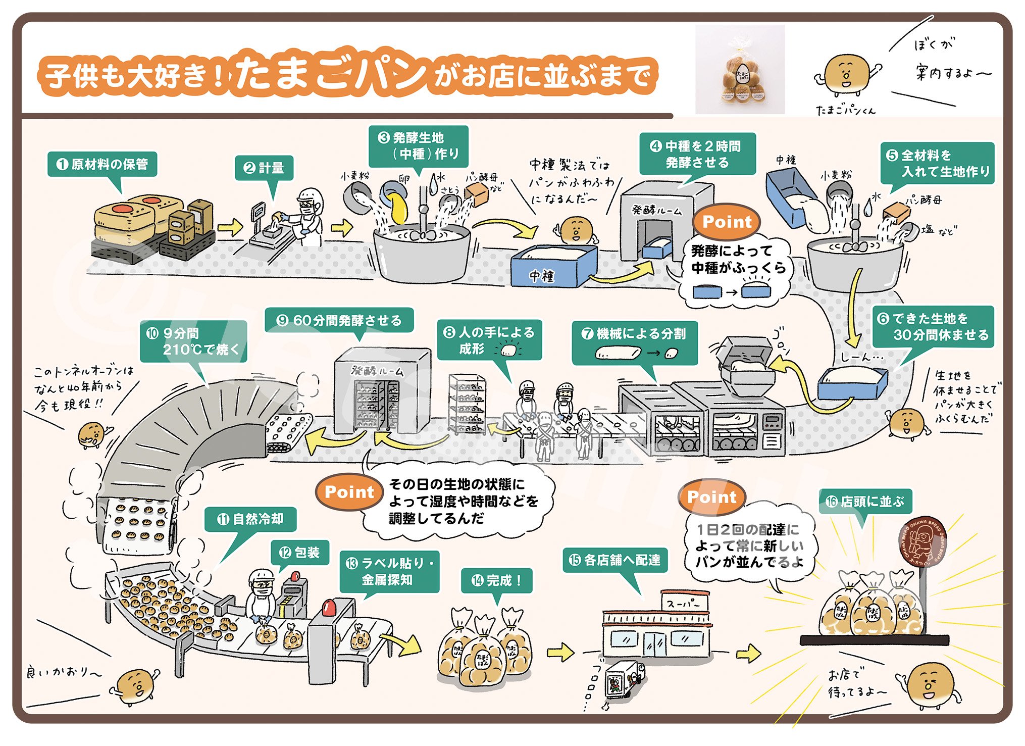 辻調理師専門学校： 基本技法・パンの基本製法について