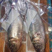 楽天市場 あじ 三枚おろし 食品 の通販