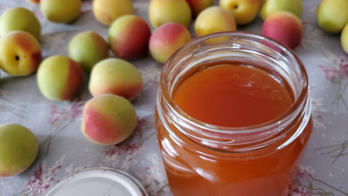 酸っぱいのが苦手な人に！まろやかな酸っぱさの自家製はちみつ梅干しの作り方 - 田舎暮らしと子育てブログ