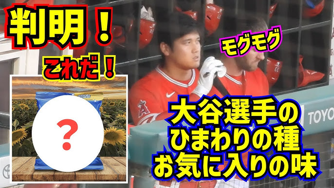 衝撃‼️大谷翔平以外にひまわりの種を紙コップに捨てる人がいました😱グラテロルの由伸愛❤️😂現地映像 ShoheiOhtani Dodgers- YouTube