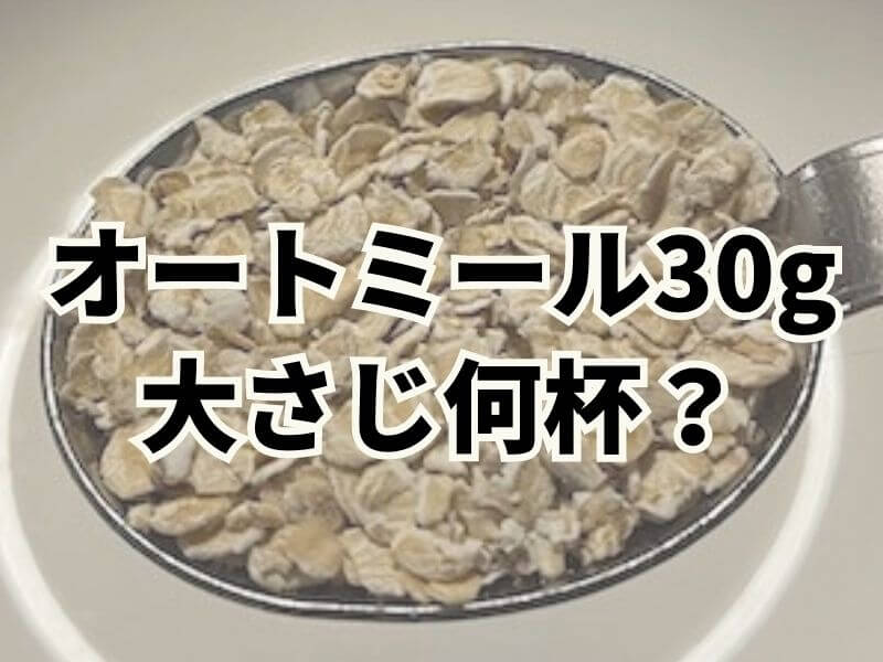 週1はOK！ ヘルシースイーツ「プロテイン入りオートミールチョコレート」 3Days糖質オフ毎日が発見ネット