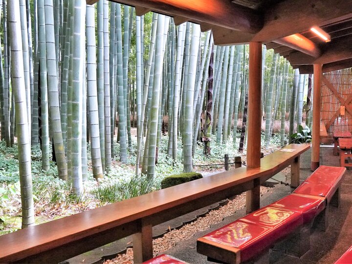 竹林の風に誘われ お抹茶のぬくもりが心を癒す 報国寺×祇園辻利- 鎌倉市観光協会時を楽しむ、旅がある。～鎌倉観光公式ガイド～