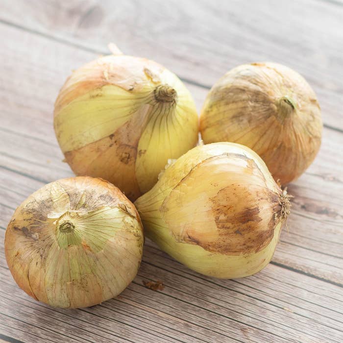 早く知りたかった」新玉ねぎは袋のまま保存するのはNG！知って得する“ただしい保存方法”ぱるとよ 食材ブログ