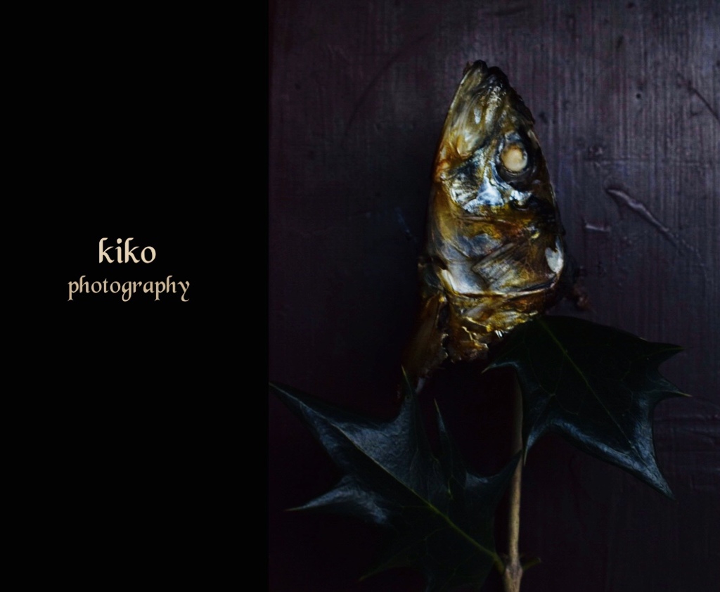 鰯の頭も信心から」うた Rincoお話・作曲 おこＰ 作画・動画 ちゃぴこ - YouTube