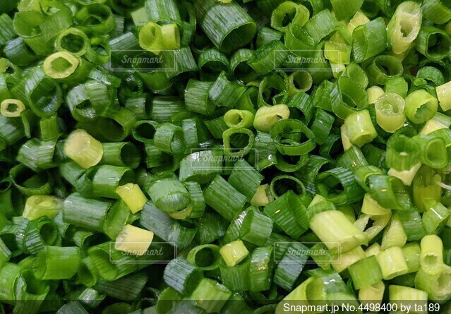 ネギ 葱 ねぎ：旬の野菜百科