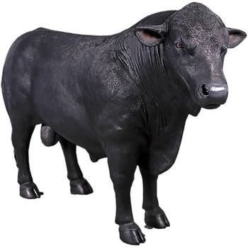 ブラックアンガス牛ステーキフレンチバル ランタン・ルージュ