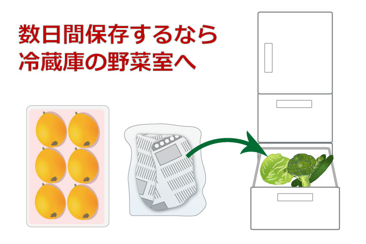 びわの保存方法 冷凍すると皮がむきやすくて1ヵ月長持ち！ほほえみごはん-冷凍で食を豊かに-ニチレイフーズ
