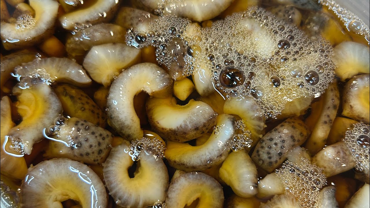 おろしナマコ酢