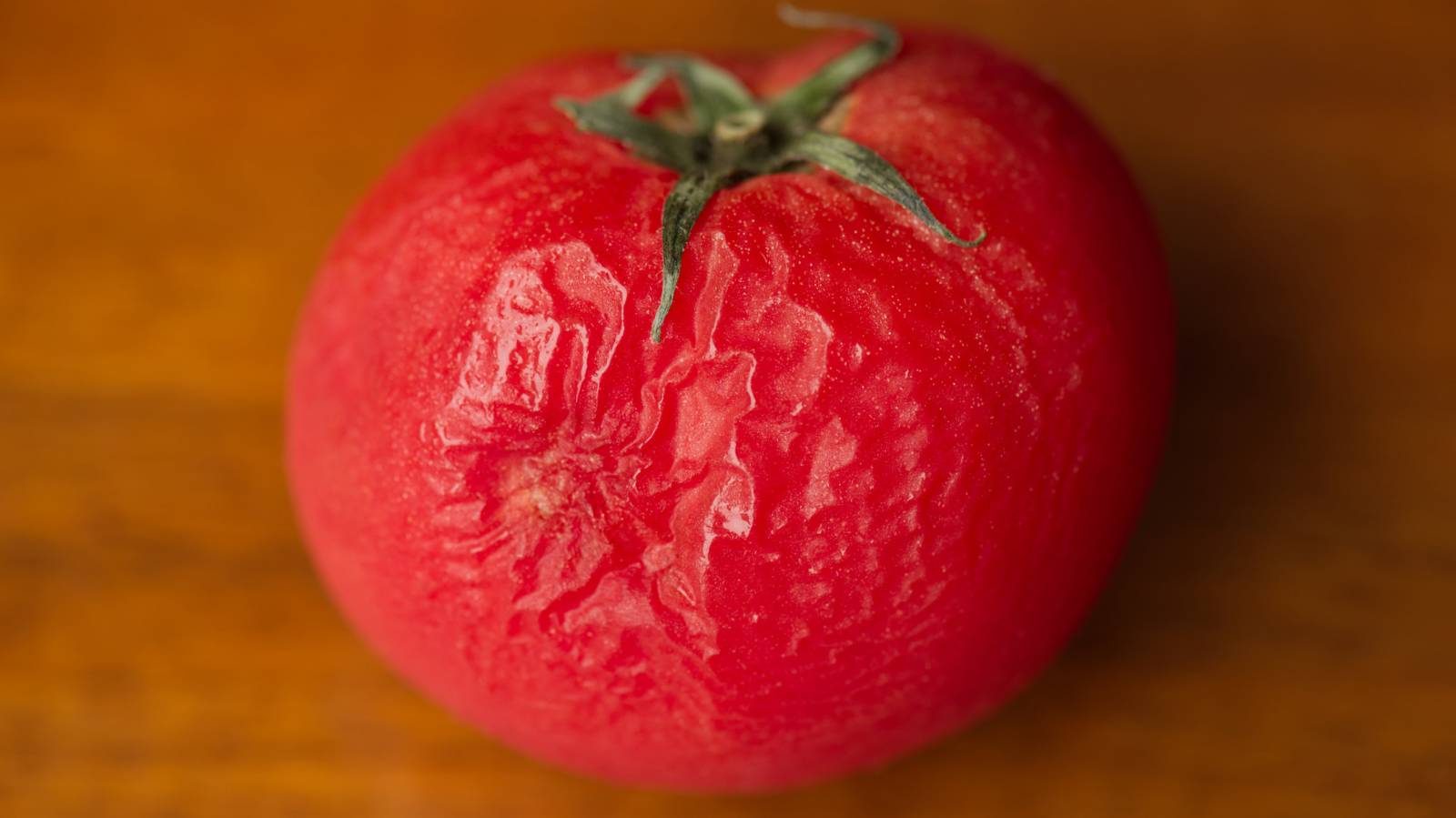 やってみた シワシワになったミニトマトを元の状態に戻す裏技おたくま経済新聞