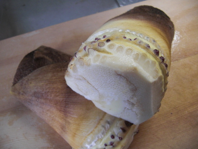 ぬか・米のとぎ汁なし 重曹を使ったたけのこのアクの抜き方法