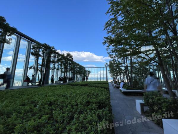 あべのハルカス16階屋外庭園からの眺めRe-urbanization -再都市化