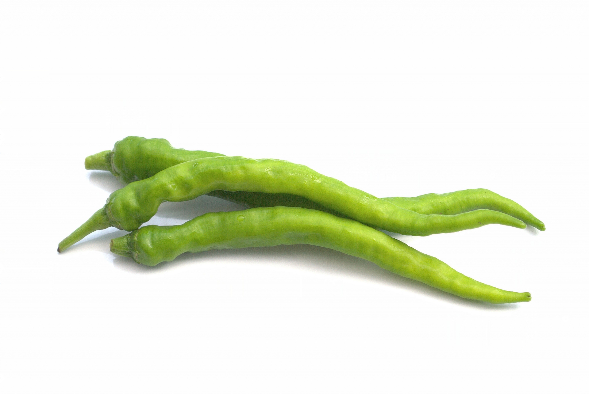 伏見甘長唐辛子 ふしみあまなが- 家庭de菜園～うぇぶたねやさん～