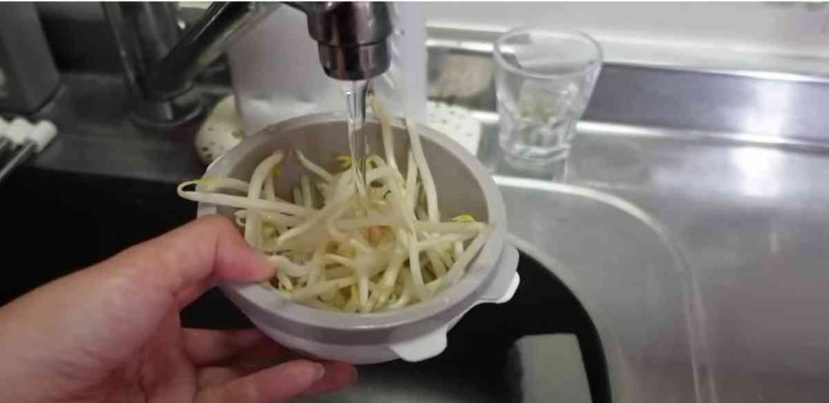 ダイソー＊めちゃ簡単で便利！「電子レンジ調理器・半熟たまご風」♪chiko＊100均 暮らしが投稿したフォトブックLemon8