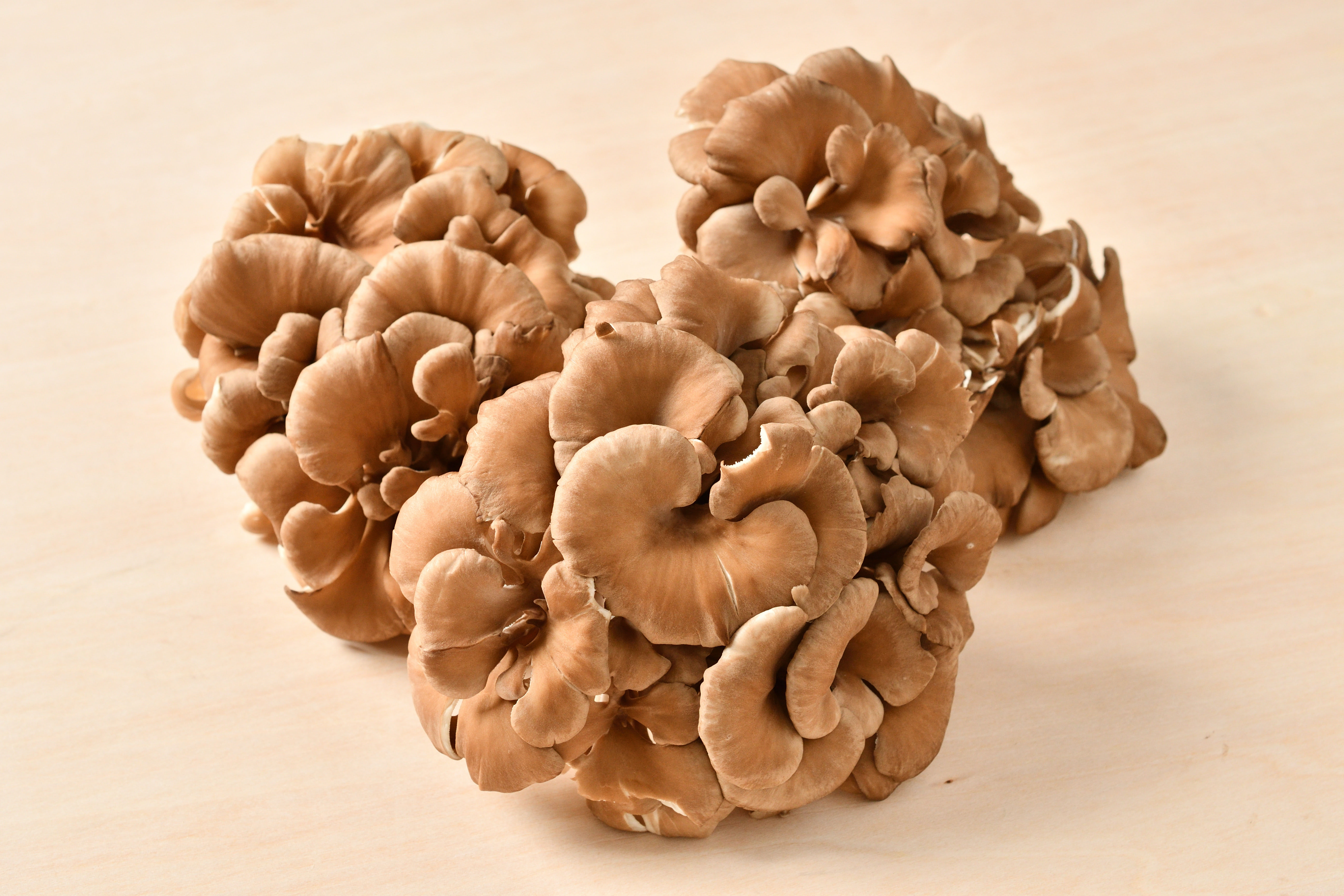 舞茸の下処理と切り方 N.D.Kitchen Basic - YouTube