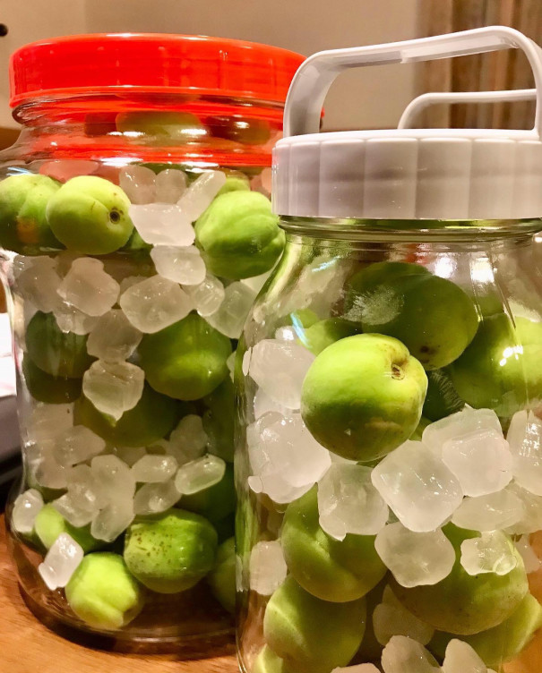 梅酒・梅シロップ保存瓶のおすすめ人気ランキング 2025年10月マイベスト