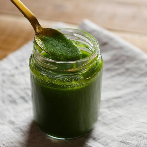 バジルの保存ガイド！正しい8つの保存方法と期間の目安を紹介くらだしマガジン