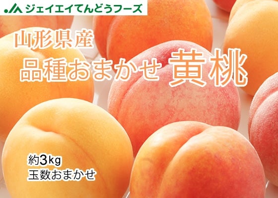 けんちゃん先生のくだもの知恵袋 桃子育て応援サイト CHEER!days